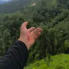zawhtetaung2792