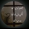 mirza_haider_05