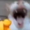 n0pr20