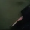 huhh10_