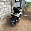 alficans595