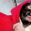 alexcito_111.0
