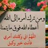 om.abdo995