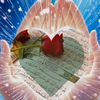 mmfarukhossain1
