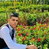 user8538817747256