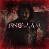 jsnow.am