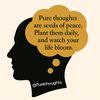 purethoughts87_0