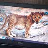waseem4749