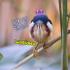 yuiobitternbirben