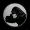 user2788130623576