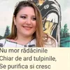 georgetaungureanu7