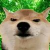 erasedtiktok002