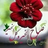 mahmoudahmad8589