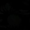 user47726083132076