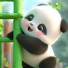 _panda656