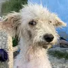 patrinpatitas