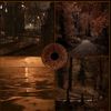 sandy_mohamed_1