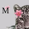 m_torss