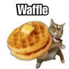 wafflecatwafflecatwaffle