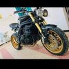 khalilsaadi495