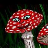 the Toadstools