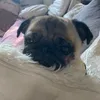 minniechew1