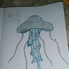 pitz_2403