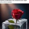 dori5d72024231246312