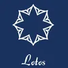 Lotosblume