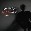 ali.fareed.444