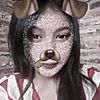 diror_01