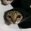 chillgirl____0