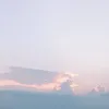 shinopi_216