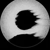 user18101828138561