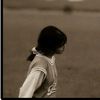 zarchiphyo2004
