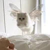 lulu