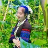 sulunlinh