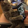babubiebiebubuuwu