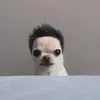 pablorudillamoren