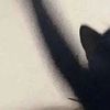 may__365