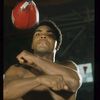 mouhamed_ali44