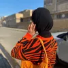 i_elaf1