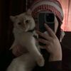hmohamedd68111