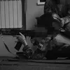 konig_war