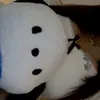 ella_dinbosniak