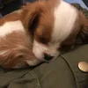 zzzzzzzzzzzz_021