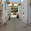 rikochta23dz