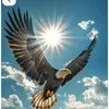 hakima.sun