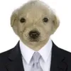 pjsbssi3