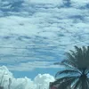 do_lv3